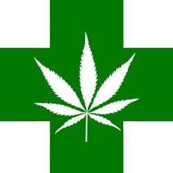 Medical Marijuana Resume